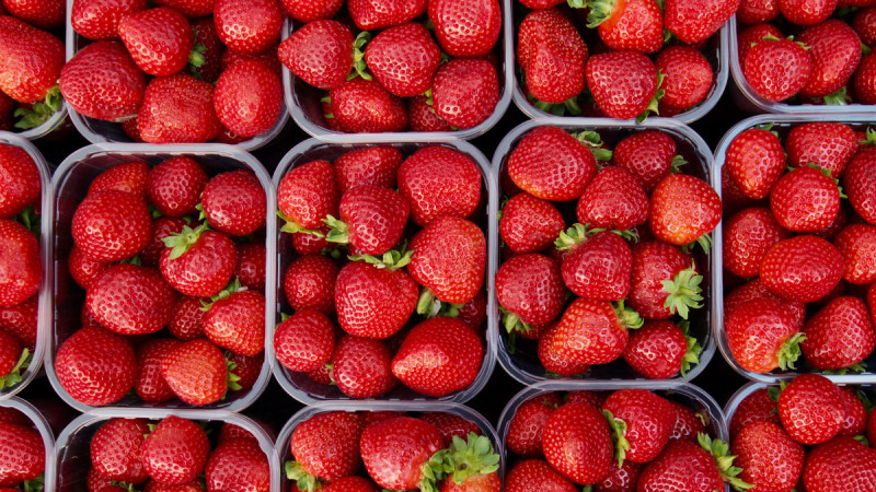 fragole